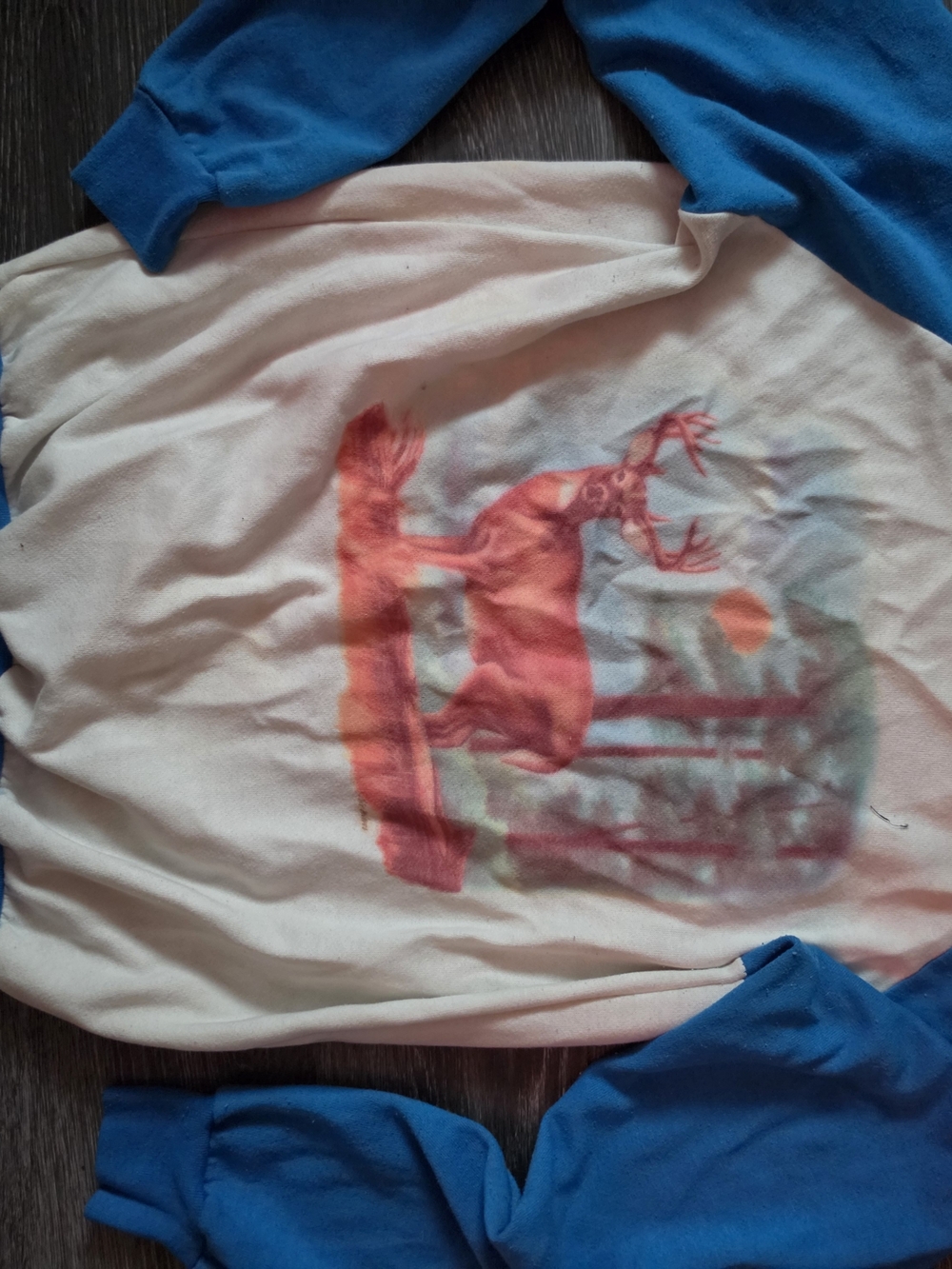 Graphic Raglan Tee with Deer Print Fleece